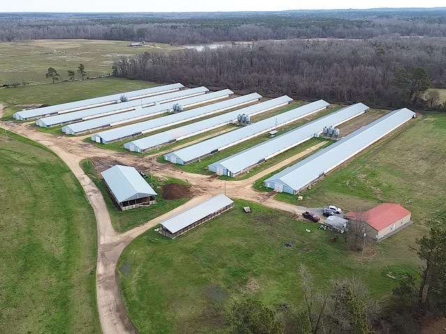 18 Acres of Agricultural Land for Sale in Star City, Arkansas