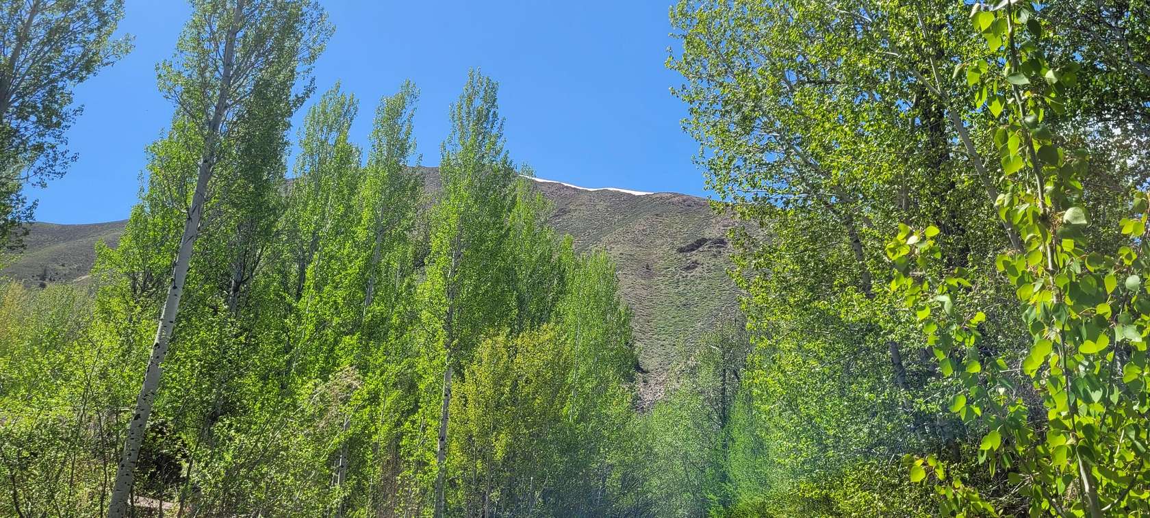 0.32 Acres of Residential Land for Sale in Hailey, Idaho
