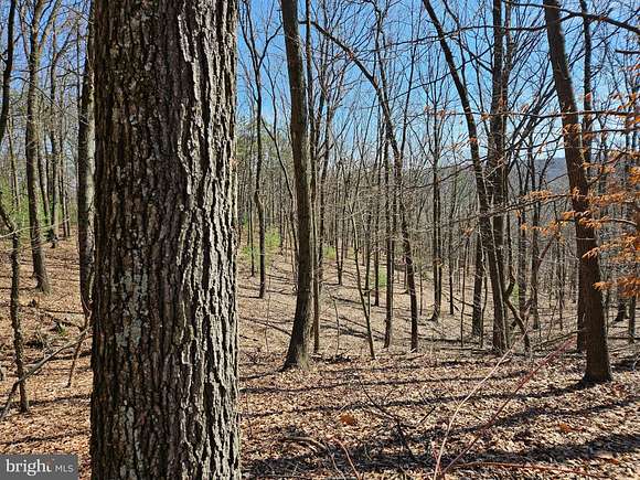39 Acres of Recreational Land for Auction in Loysville, Pennsylvania