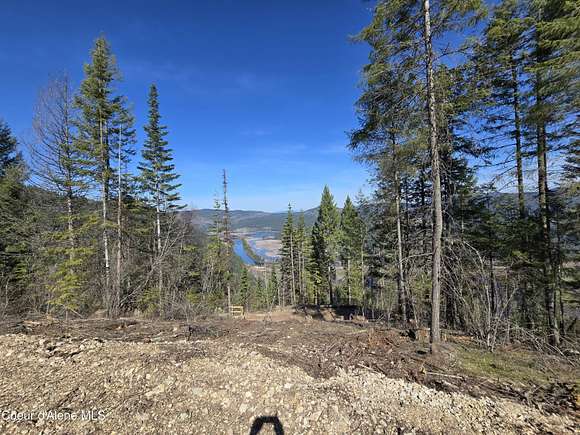 20 Acres of Land for Sale in Harrison, Idaho