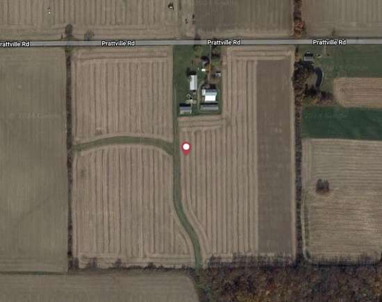 33 Acres of Land for Auction in Pittsford, Michigan