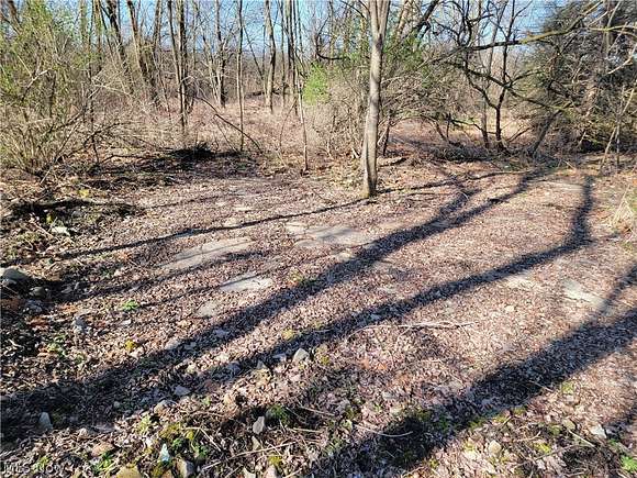 15 Acres of Recreational Land for Sale in Mantua, Ohio