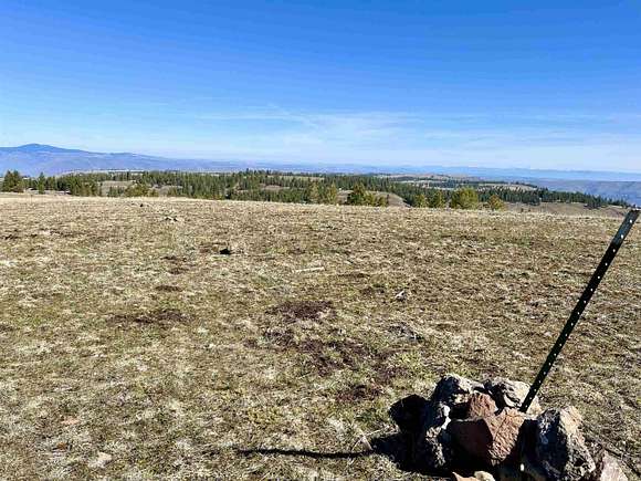 56.5 Acres of Recreational Land for Sale in White Bird, Idaho