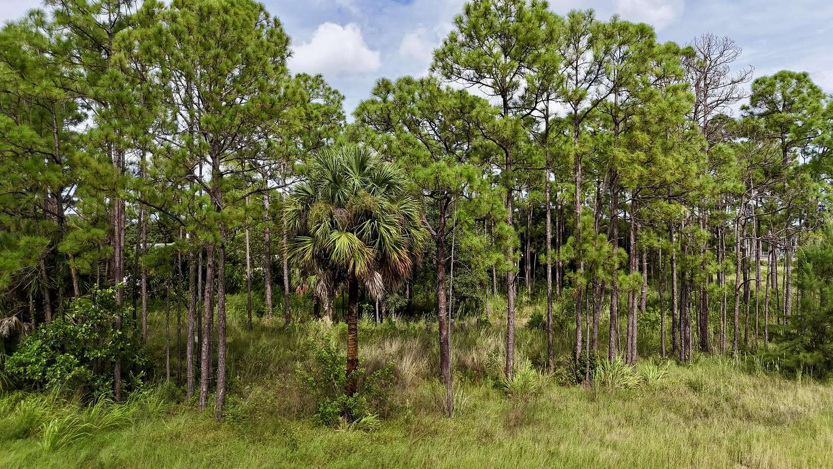 2.49 Acres of Residential Land for Sale in The Acreage, Florida