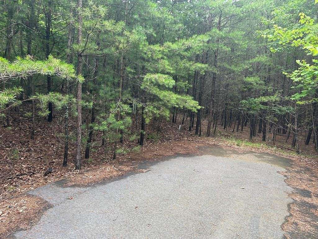 1.2 Acres of Land for Sale in Blairsville, Georgia