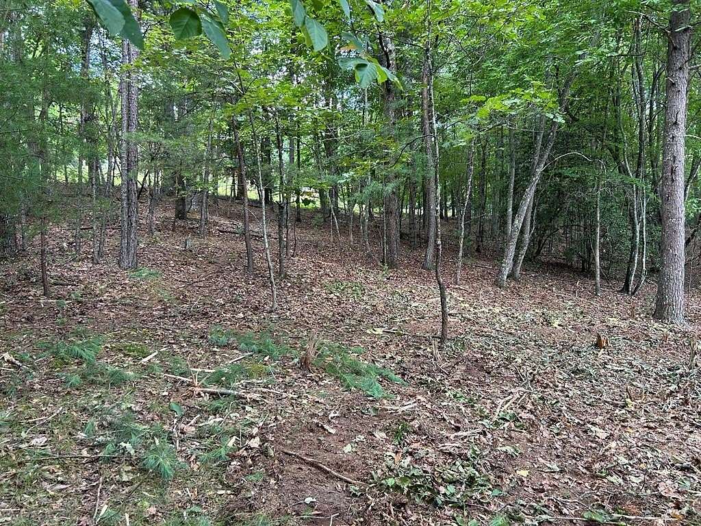 1.188 Acres of Land for Sale in Blairsville, Georgia