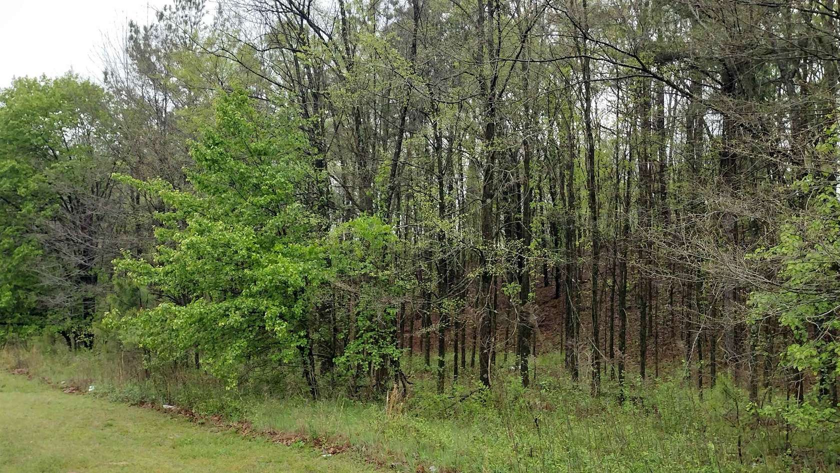 12.73 Acres of Land for Sale in Jackson, Tennessee