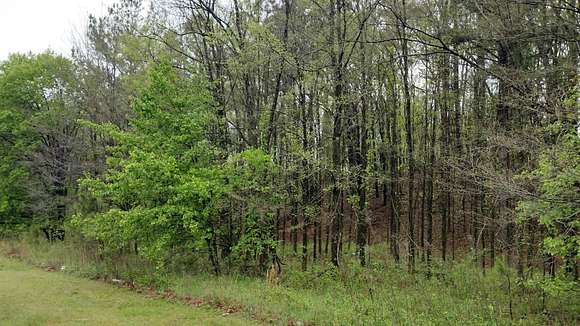 12.7 Acres of Land for Sale in Jackson, Tennessee