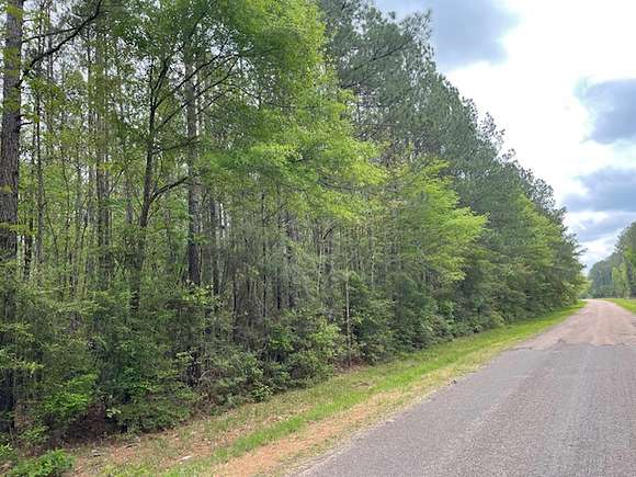 62.2 Acres of Recreational Land & Farm for Sale in Magnolia, Mississippi