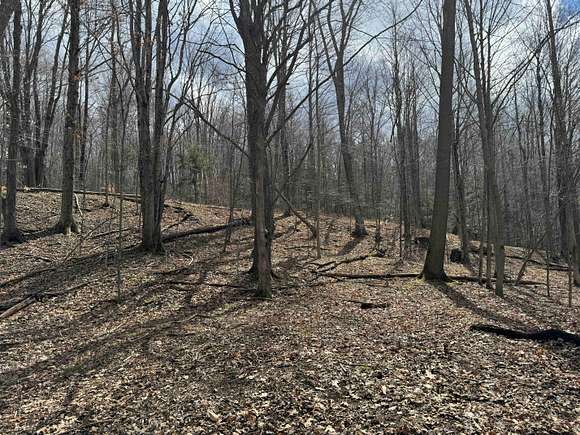 25 Acres of Recreational Land for Sale in Grove, New York