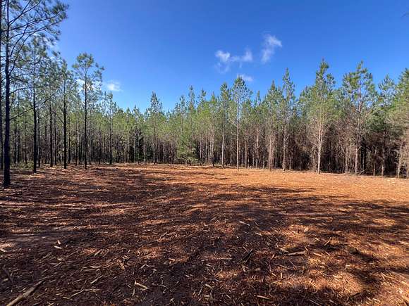 21 Acres of Recreational Land & Farm for Sale in Skipperville, Alabama