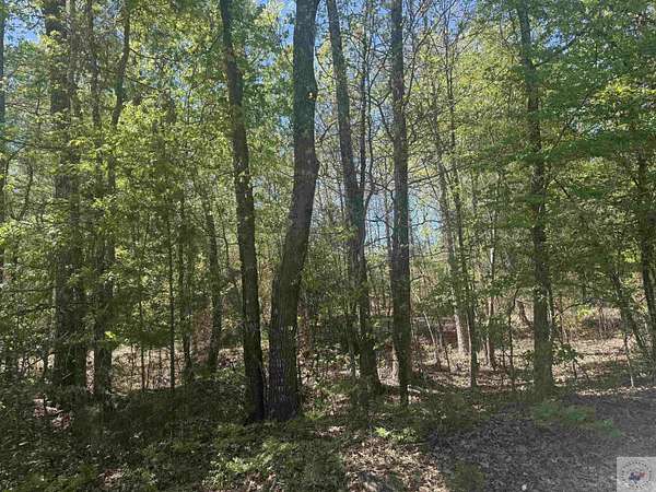 61.2 Acres of Agricultural Land for Sale in Linden, Texas