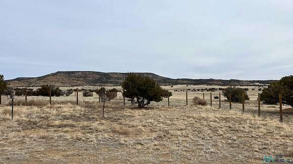 293 Acres of Land for Sale in Quemado, New Mexico