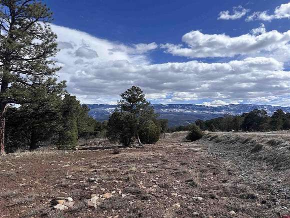 2 Acres of Residential Land for Sale in Ridgway, Colorado