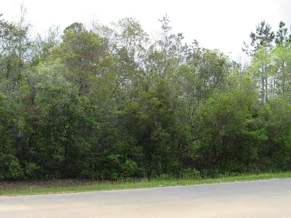 0.69 Acres of Residential Land for Sale in DeFuniak Springs, Florida