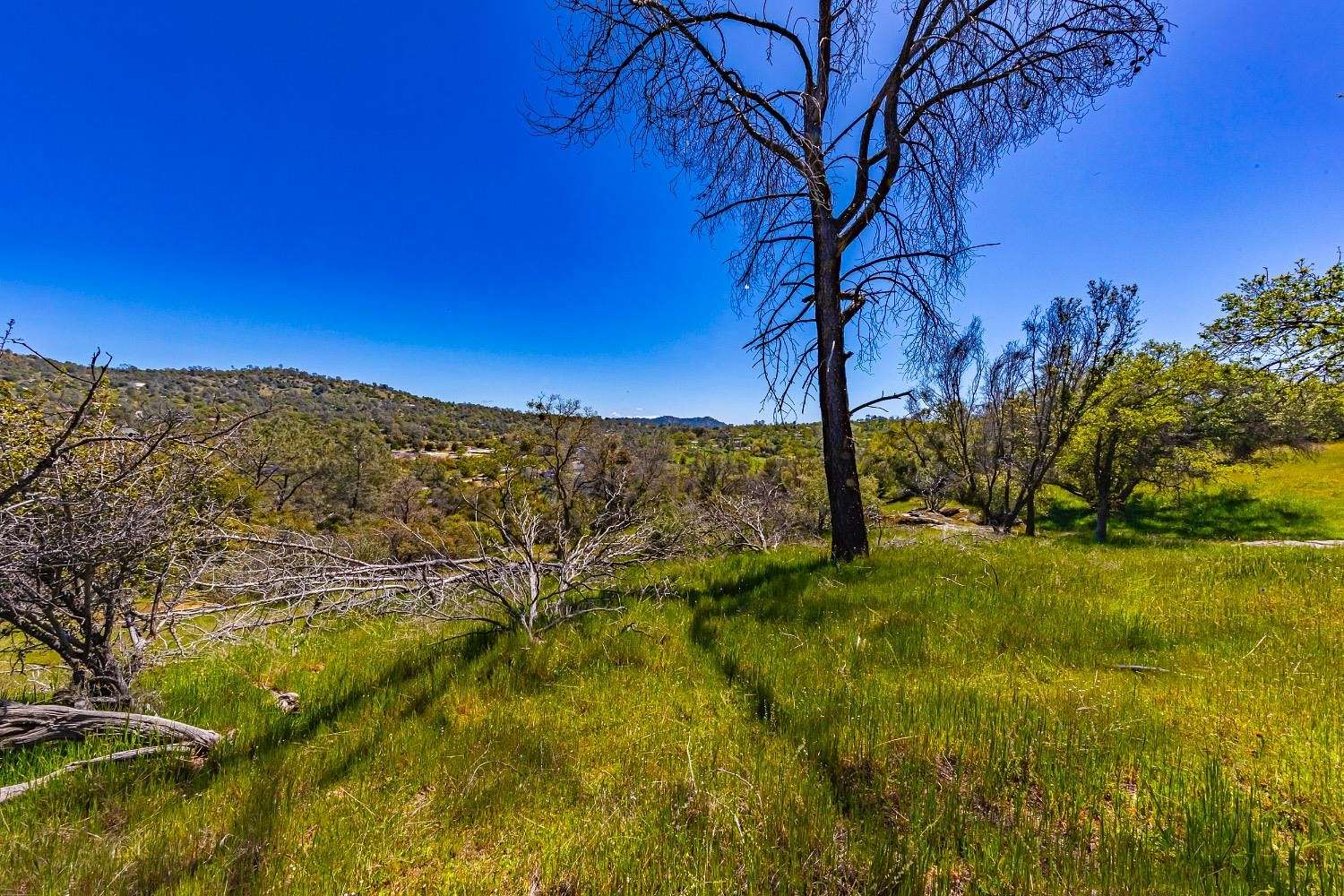 4.7 Acres of Residential Land for Sale in Coarsegold, California