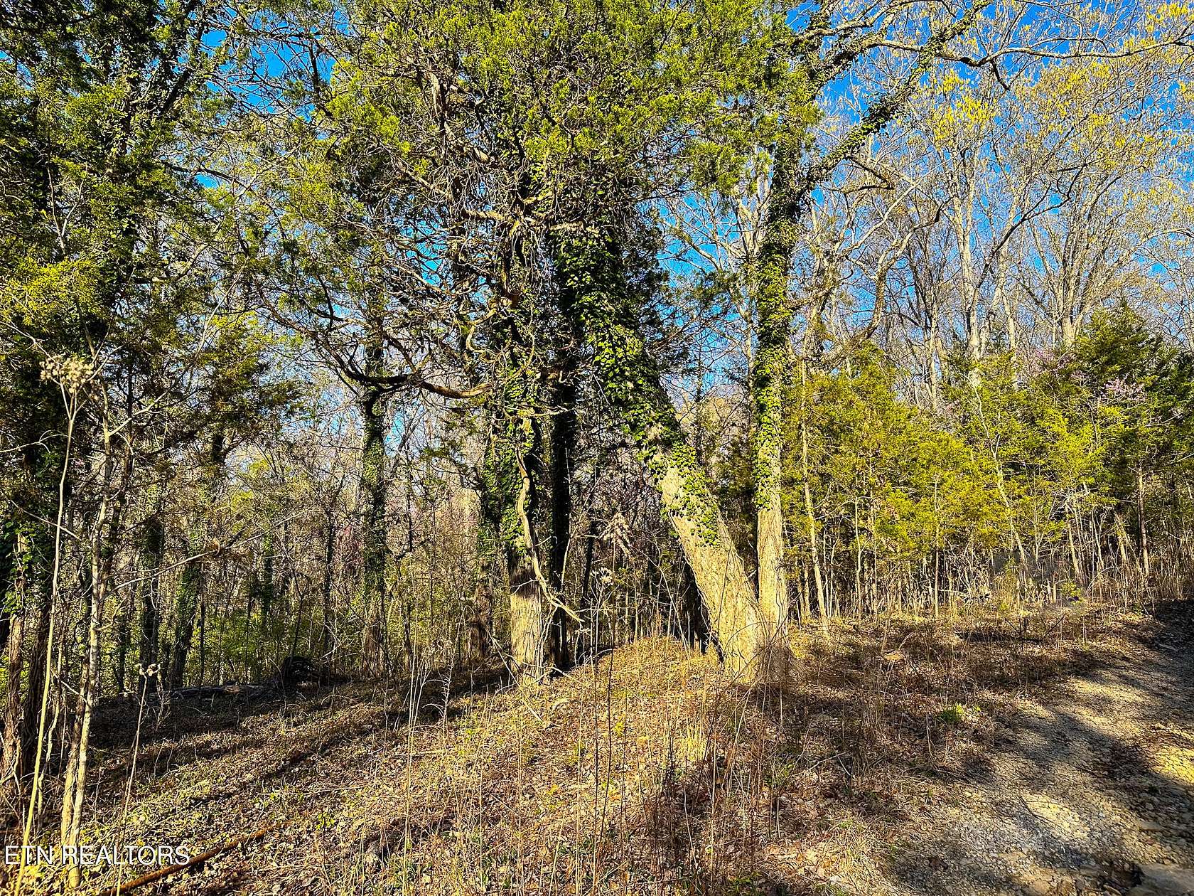 0.08 Acres of Land for Sale in Louisville, Tennessee