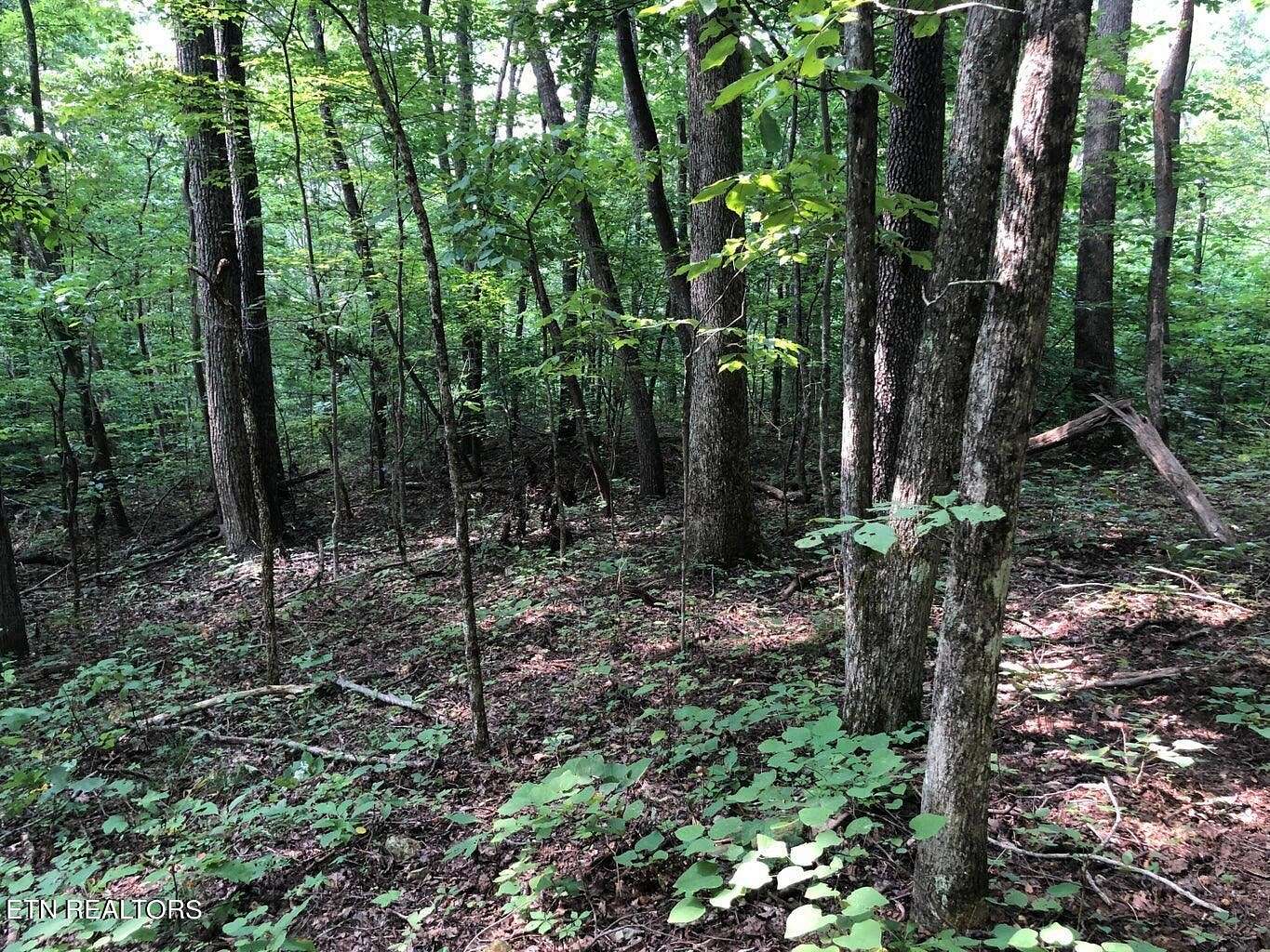 44.8 Acres of Recreational Land for Sale in Thorn Hill, Tennessee