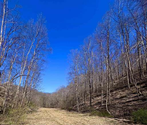 132 Acres of Agricultural Land for Sale in Salem, West Virginia