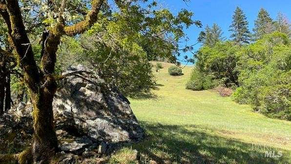 20.6 Acres of Land for Sale in Willits, California