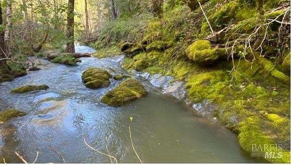 20.6 Acres of Land for Sale in Willits, California