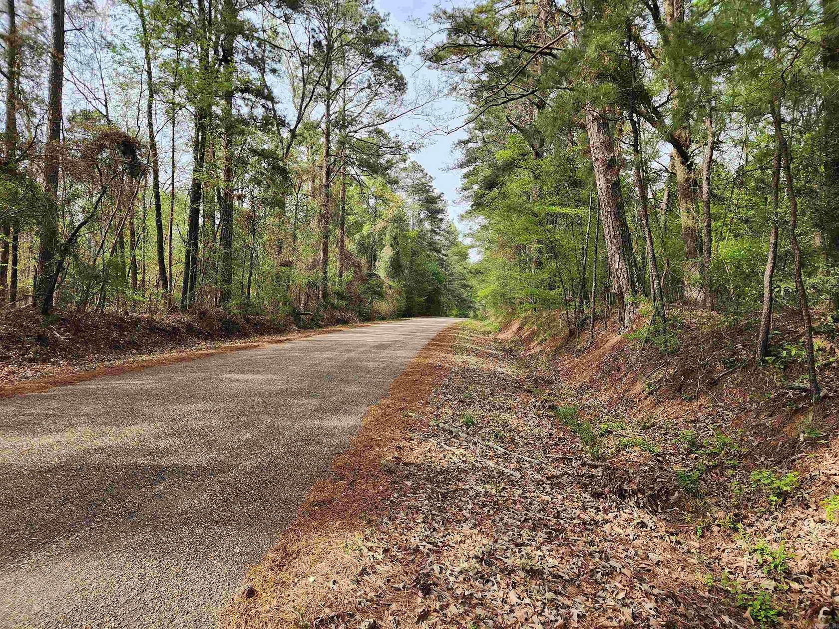 15.56 Acres of Land for Sale in Louann, Arkansas