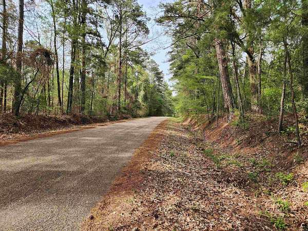 15.6 Acres of Land for Sale in Louann, Arkansas