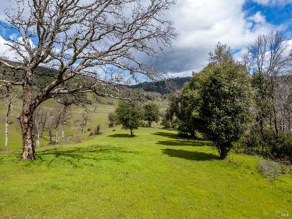 7.3 Acres of Residential Land for Sale in Redwood Valley, California