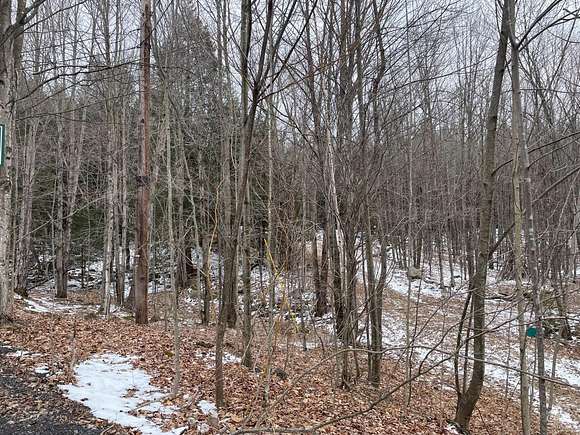 5.8 Acres of Residential Land for Sale in Windham, New York