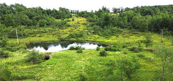 22.2 Acres of Recreational Land for Sale in Guilford, New York