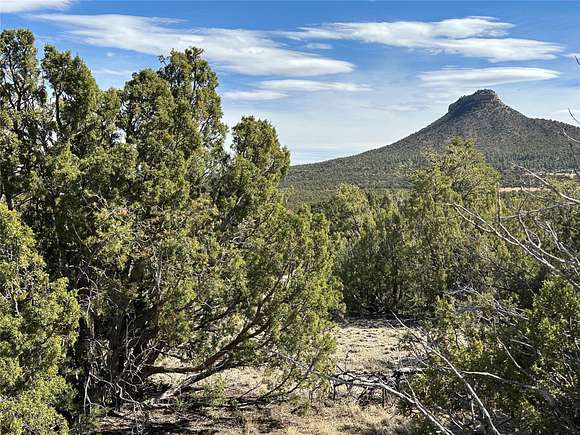 5 Acres of Residential Land for Sale in Serafina, New Mexico