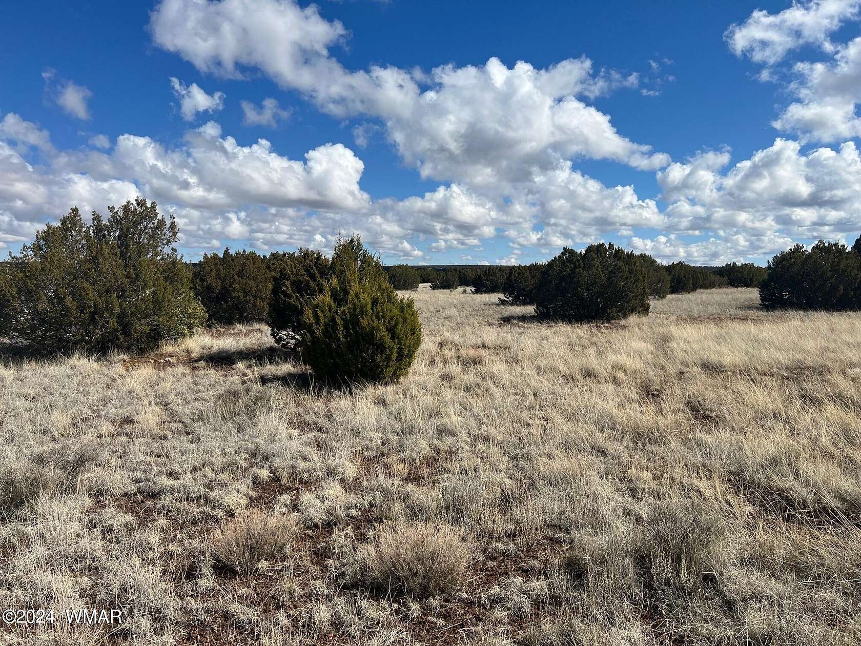 1.25 Acres of Residential Land for Sale in Show Low, Arizona