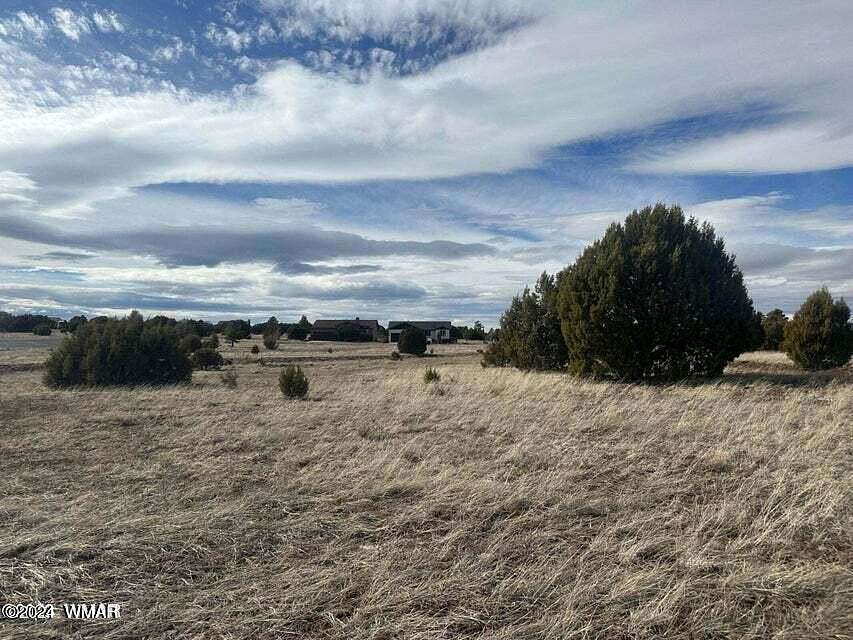 0.24 Acres of Residential Land for Sale in Show Low, Arizona