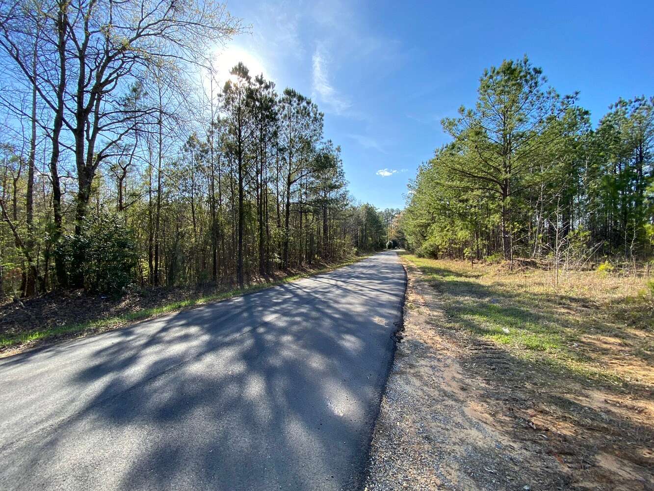 33 Acres of Recreational Land for Sale in Bankston, Alabama