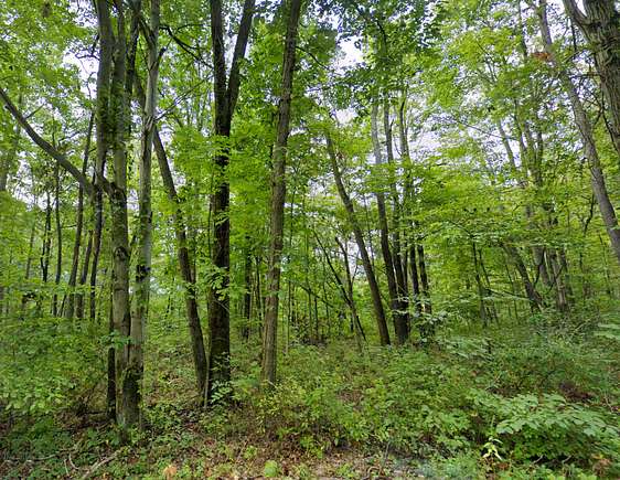 0.64 Acres of Residential Land for Sale in Negley, Ohio