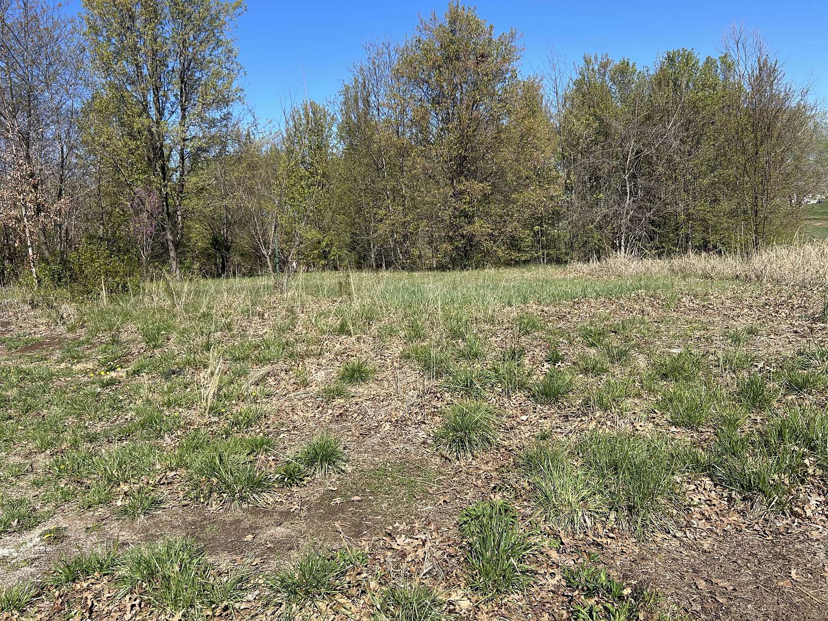 0.72 Acres of Residential Land for Sale in Republic, Missouri