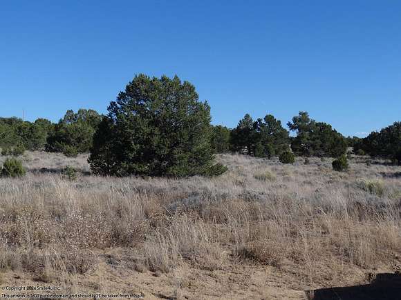 5.1 Acres of Land for Sale in Pinehill, New Mexico