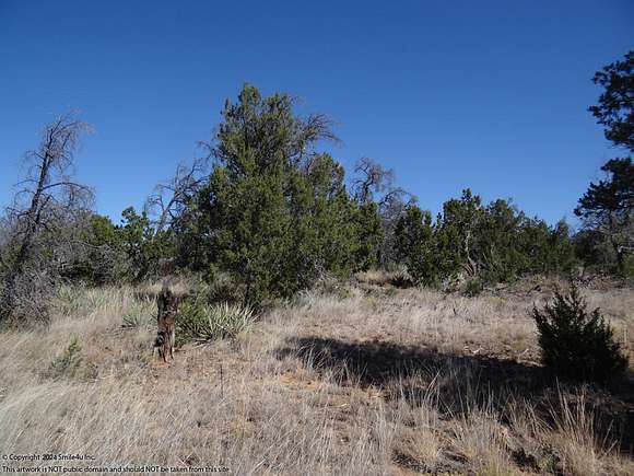 2.5 Acres of Residential Land for Sale in Pinehill, New Mexico
