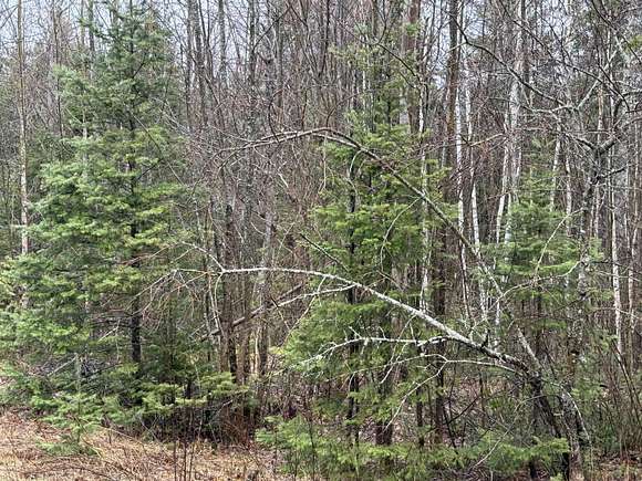 151 Acres of Recreational Land for Sale in Winn, Maine