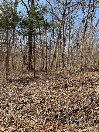 0.22 Acres of Residential Land for Sale in Bonne Terre, Missouri