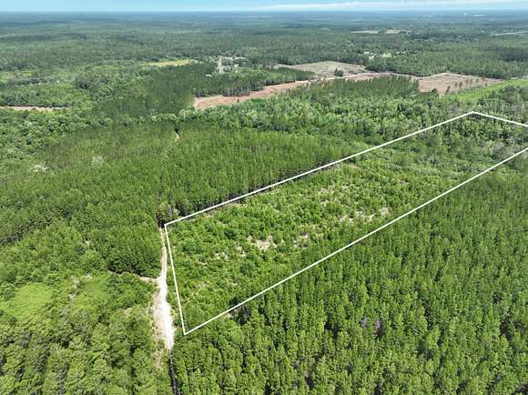 12 Acres of Recreational Land & Farm for Sale in Jesup, Georgia