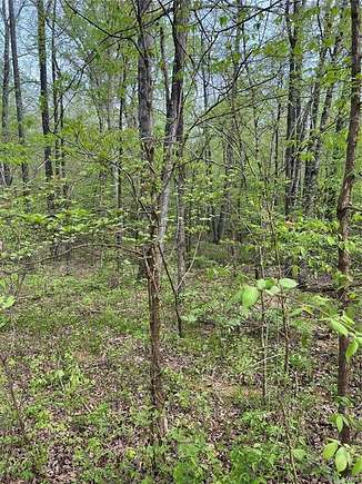 2 Acres of Land for Sale in Fairdealing, Missouri