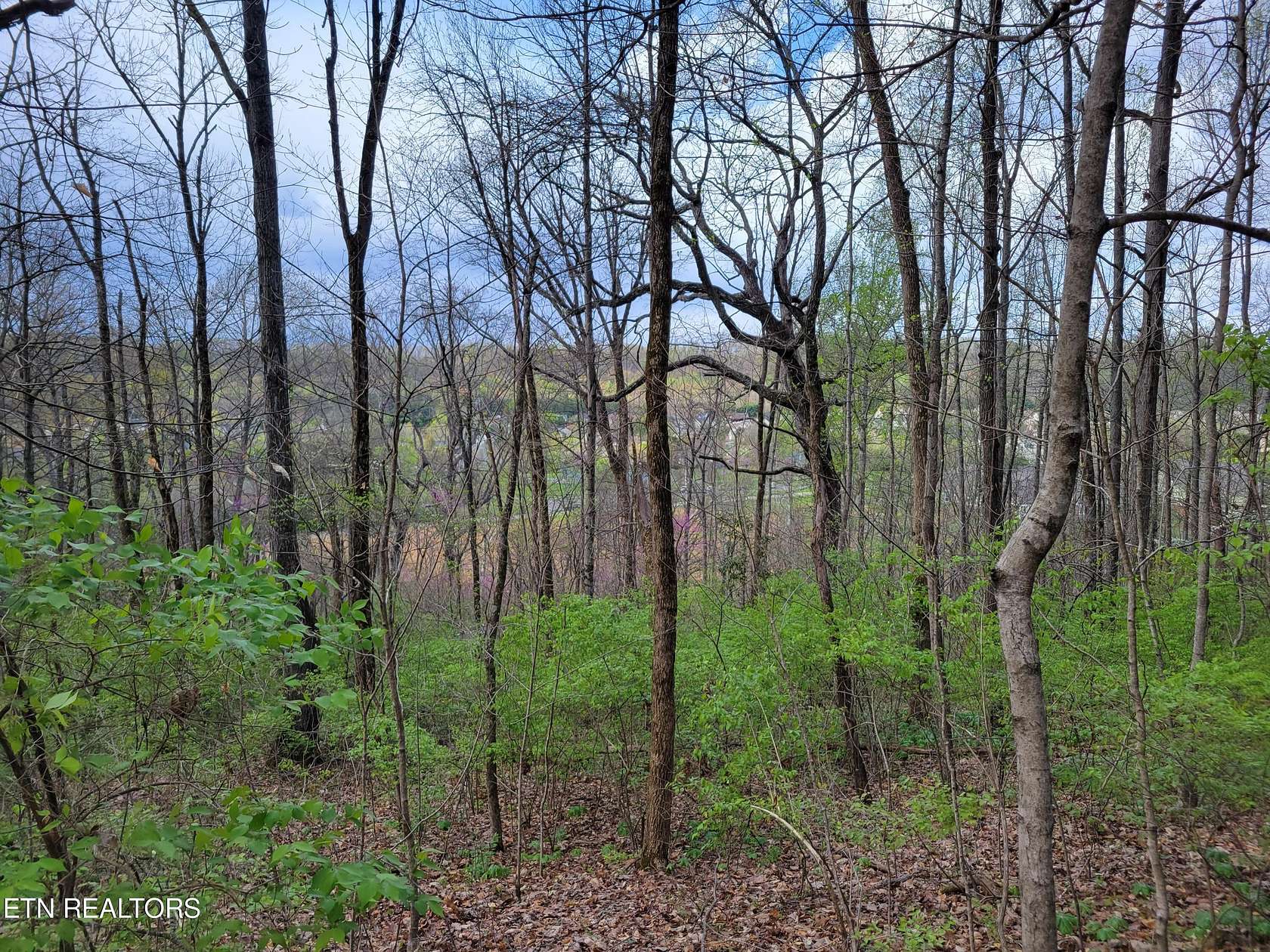 6.4 Acres of Land for Sale in Knoxville, Tennessee