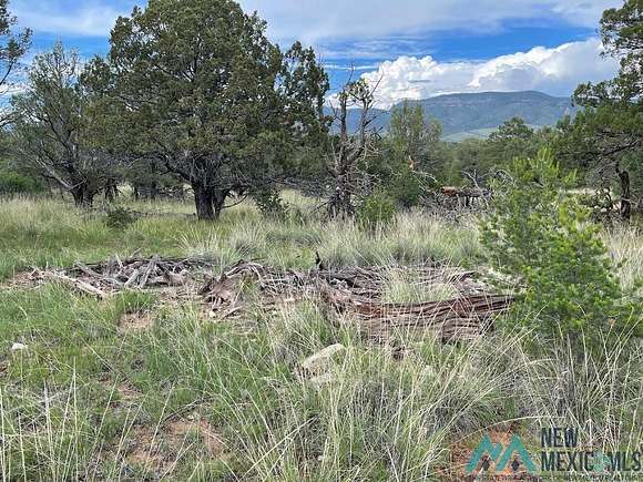 1.5 Acres of Land for Sale in Timberon, New Mexico