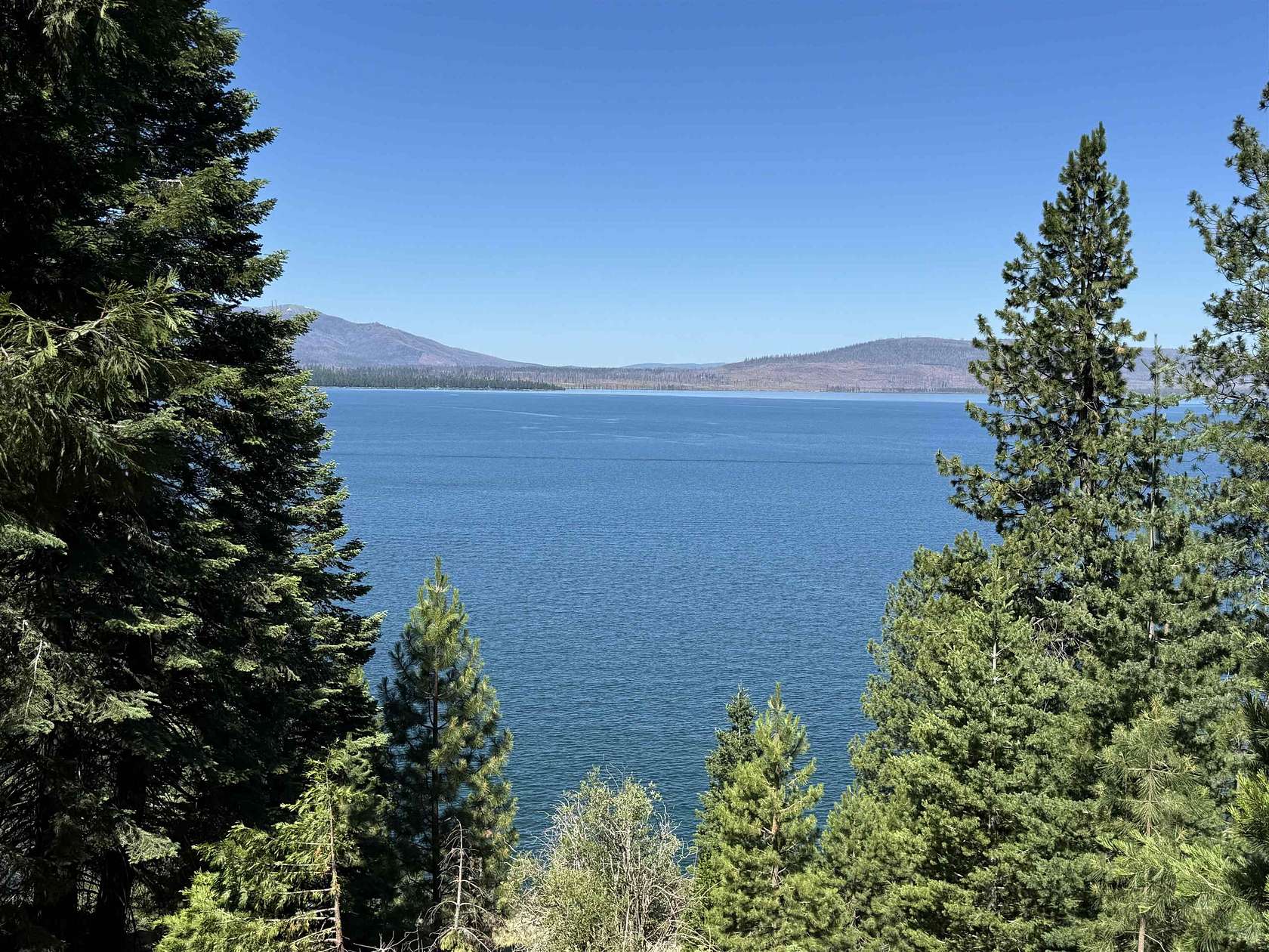 0.73 Acres of Residential Land for Sale in Lake Almanor Country Club, California