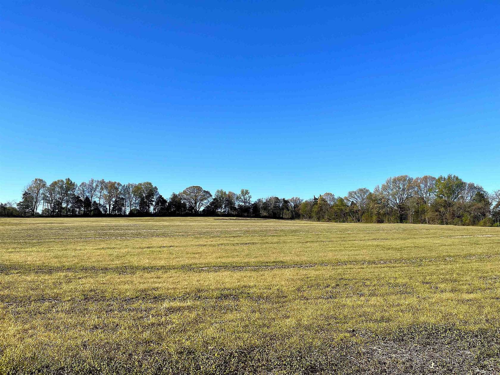 20 Acres of Land for Sale in Somerville, Tennessee