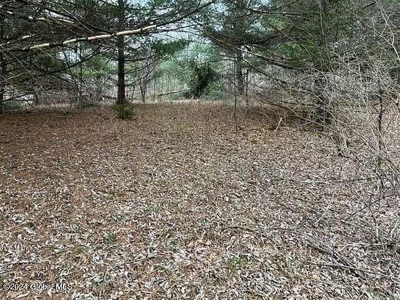 4.6 Acres of Residential Land for Sale in Jefferson, New York