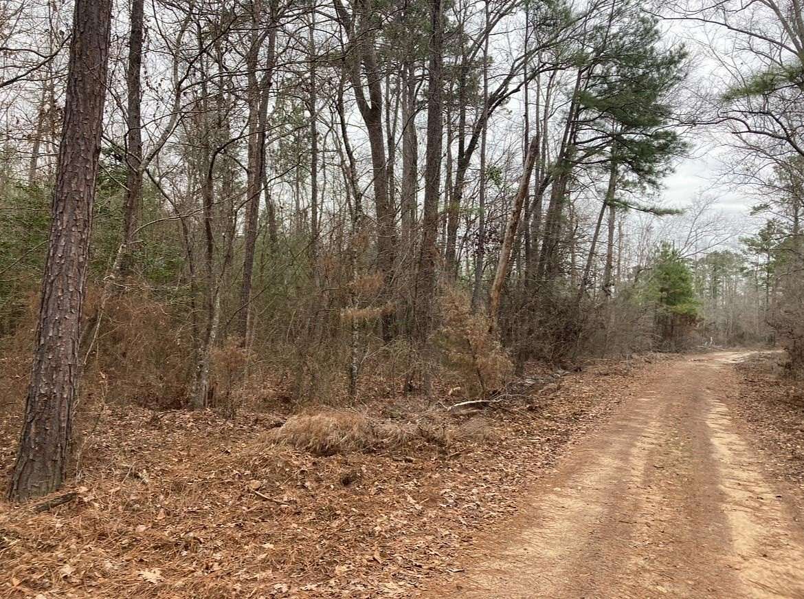 183 Acres of Recreational Land for Sale in Hughes Springs, Texas