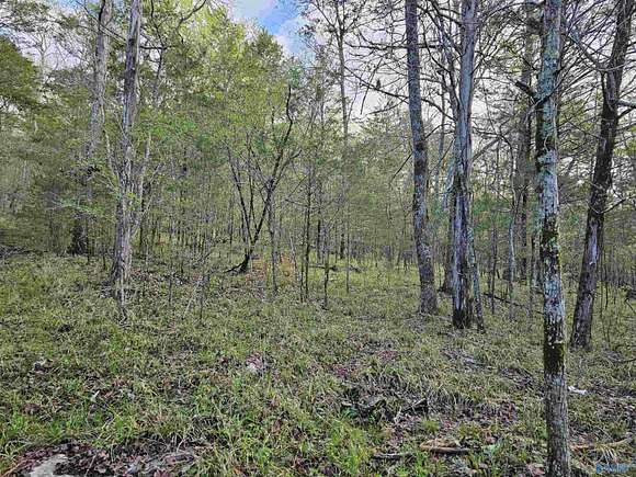 10 Acres of Recreational Land for Sale in Stevenson, Alabama