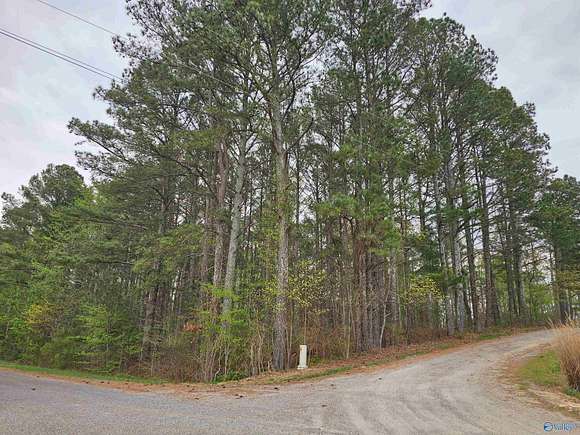 1.1 Acres of Residential Land for Sale in Section, Alabama